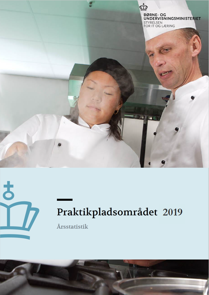 forside til publikationen Praktikpladsområdet 2019