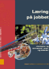 Forside til publikation 'Læring på jobbet'
