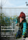 Forside til publikation 'strategiske fokusområder VEUrådet'